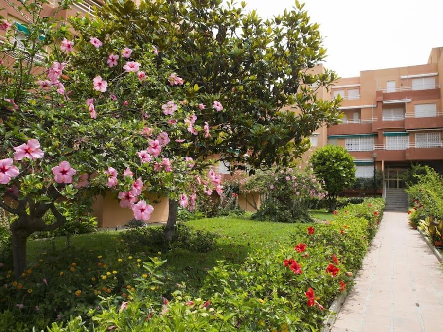Jardines Del Mar Apartament *