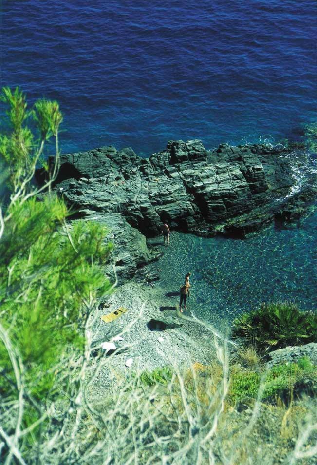 Jardines Del Mar Appartamento