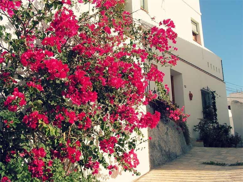 Apartment Jardines Del Mar Salobreña