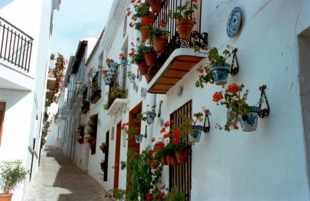 Apartment Jardines Del Mar *